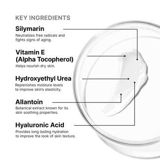 SkinCeuticals Antioxidant Lip Repair