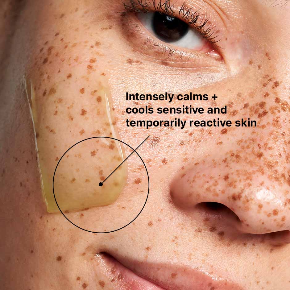 SkinCeuticals Phyto Corrective Masque
